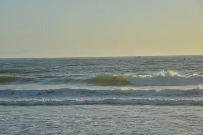 DSC_7270 (Large).JPG